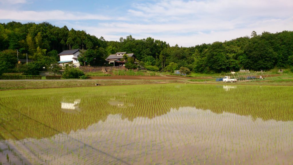 画像を削除しました。